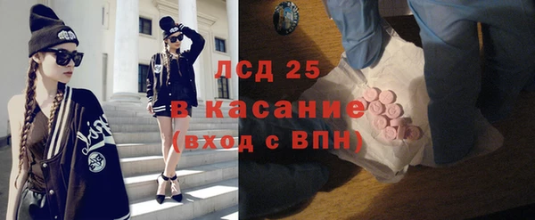 прущие грибы Верхний Тагил