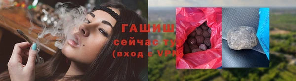 прущие грибы Верхний Тагил