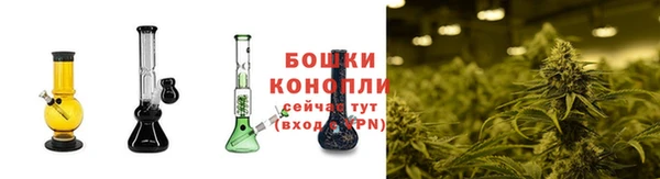 apvp Верея