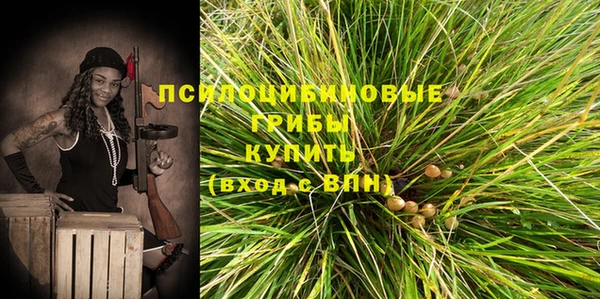 прущий лед Бронницы