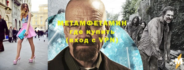 прущие грибы Верхний Тагил