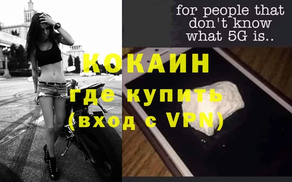 прущие грибы Верхний Тагил