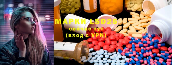 apvp Верея