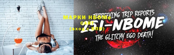 прущие грибы Верхний Тагил