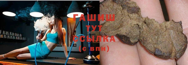 прущие грибы Верхний Тагил