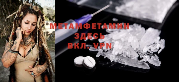 прущие грибы Верхний Тагил