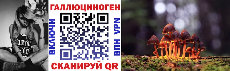 kraken как войти  Новохопёрск  Псилоцибиновые грибы мухоморы 